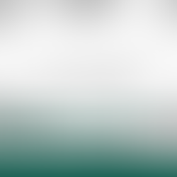 Il volontariato nella protezione civile