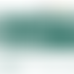 A Venaria Reale per l'affidamento e la gestione degli impianti pubblici per la pratica sportiva