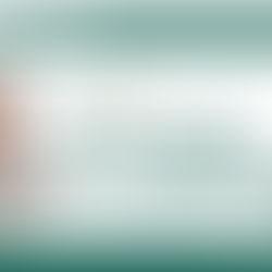 Le decisioni dei Giudici sportivi all'esame del Giudice nazionale