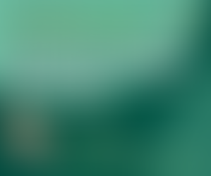 Le novità per il terzo settore nel 2026 