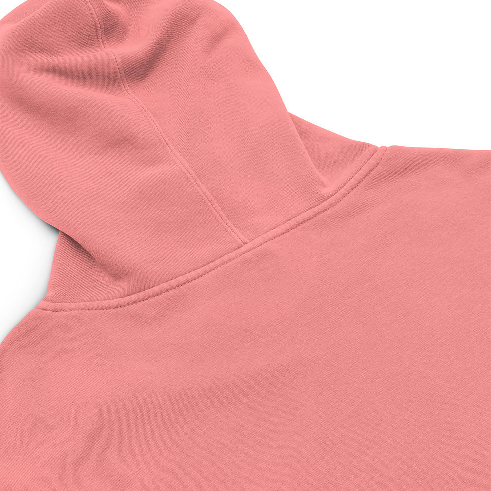 Thumbnail: The French NP Unisex pigment-dyed hoodie