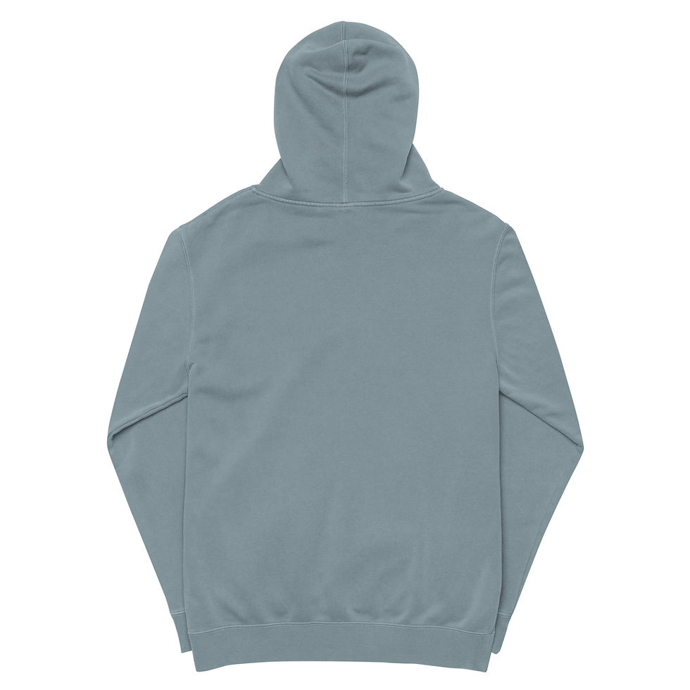 Thumbnail: The French NP Unisex pigment-dyed hoodie