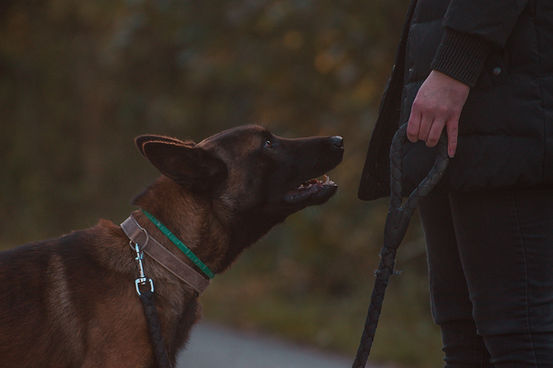 pexels-anton-kudryashov-9956390.jpg