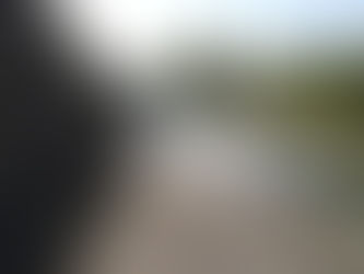 今年度アユの放流