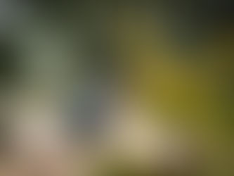 Rally in Portugal Reaches Midpoint: Teammates Enjoyed Close Battle Between Each Other