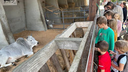 FARM VISIT - 10-2024