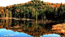 Carole Bracy | Solitude , Photography, UNITED STATES OF AMERICA