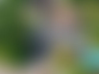 SOLD - 187 Prince Edward Dr. S