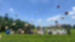ree