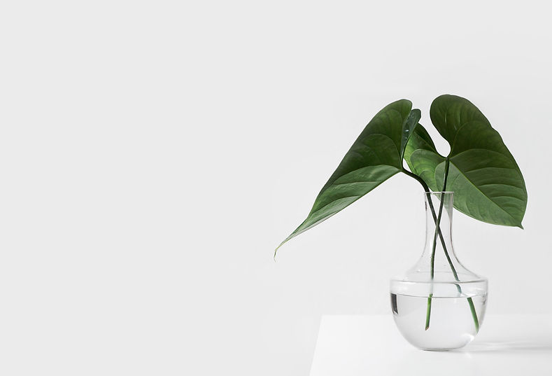 sarah-dorweiler-x2Tmfd1-SgA-unsplash_edited.jpg