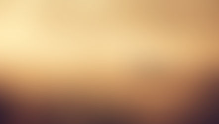 You’ll Never Believe What I Learned From A Deer! 