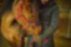 Person in black coat gently holds a brown horse with a red halter, inside a wooden barn. Cozy and calm atmosphere.