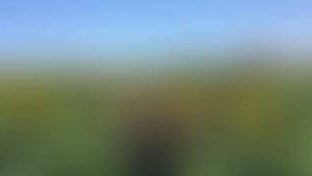 Three Ways To	Live Your Life To The Fullest With	Cancer