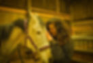 Woman affectionately leans forehead against a gray horse in a wooden stable, conveying a serene mood. The horse wears a pink halter.