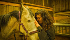 When the System Fails – What Horses Know That Leadership Models Don't