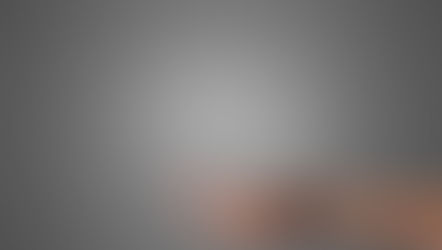 What Role Plays The Polyvagal Theory In The Coaching Process?