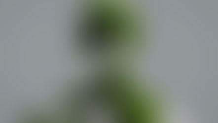 Conscious Capitalism – The Most Risky Idea in Modern Business