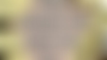 Mission, Vision, Values… OH MY!