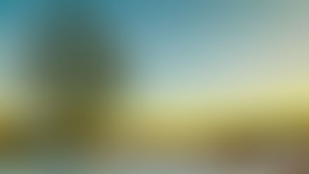 Rooted Resilience – How Winter’s Harshest Blasts Can Shape Your Landscape’s Future