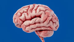 The Secret Skill Your Brain Has That Nobody Taught You