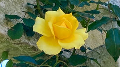 Finding Inner Peace In Unpeaceful Times