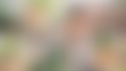 Why It Is Necessary To Buy Organic