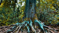 At A Holiday Gathering With Someone Who Hurt You? Here’s What You Should Do, And Why!