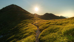 Five Reasons Your Unique Journey is Your Greatest Business Advantage