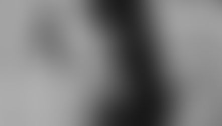 Why You Can't Stop Procrastinating 