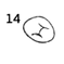 14