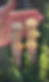 Thumbnail: PRE-ORDER Waterfall Clouds
