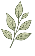logo new_edited.png