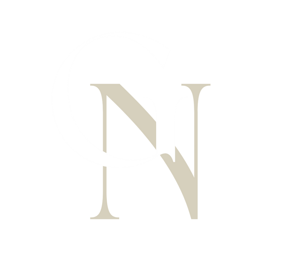 Interlocking letters G and N logo on a black background