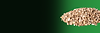 Untitled design (16).png