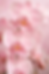 ChatGPT Image May 9, 2026, 06_08_21 PM.png