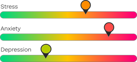 6. Assessment.png