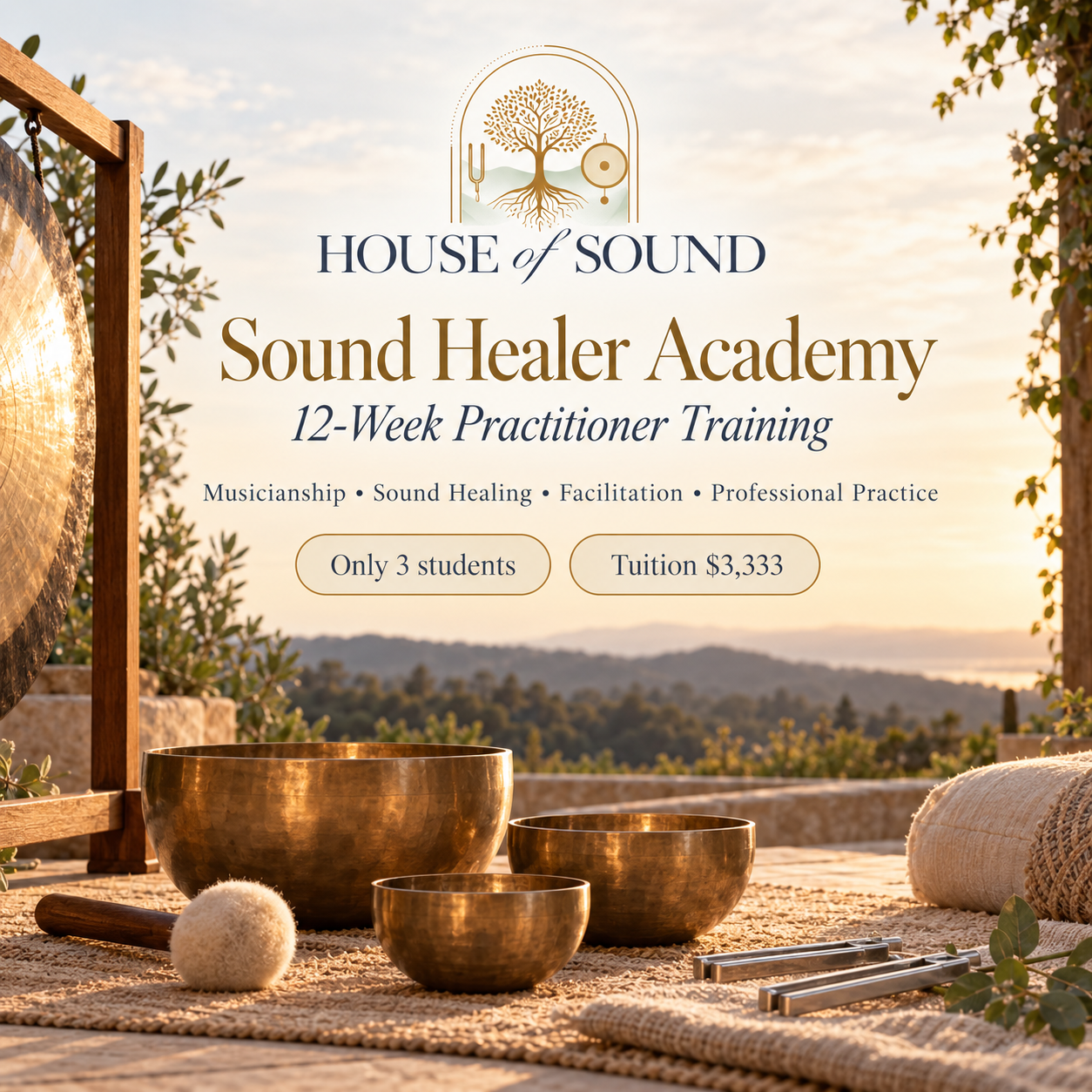 House of Sound Sound Healer Academy with singing bowls, gong and tuning forks