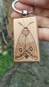 Miniature : Phalène Lumière - porte clefs - pyrogravé sur bois 