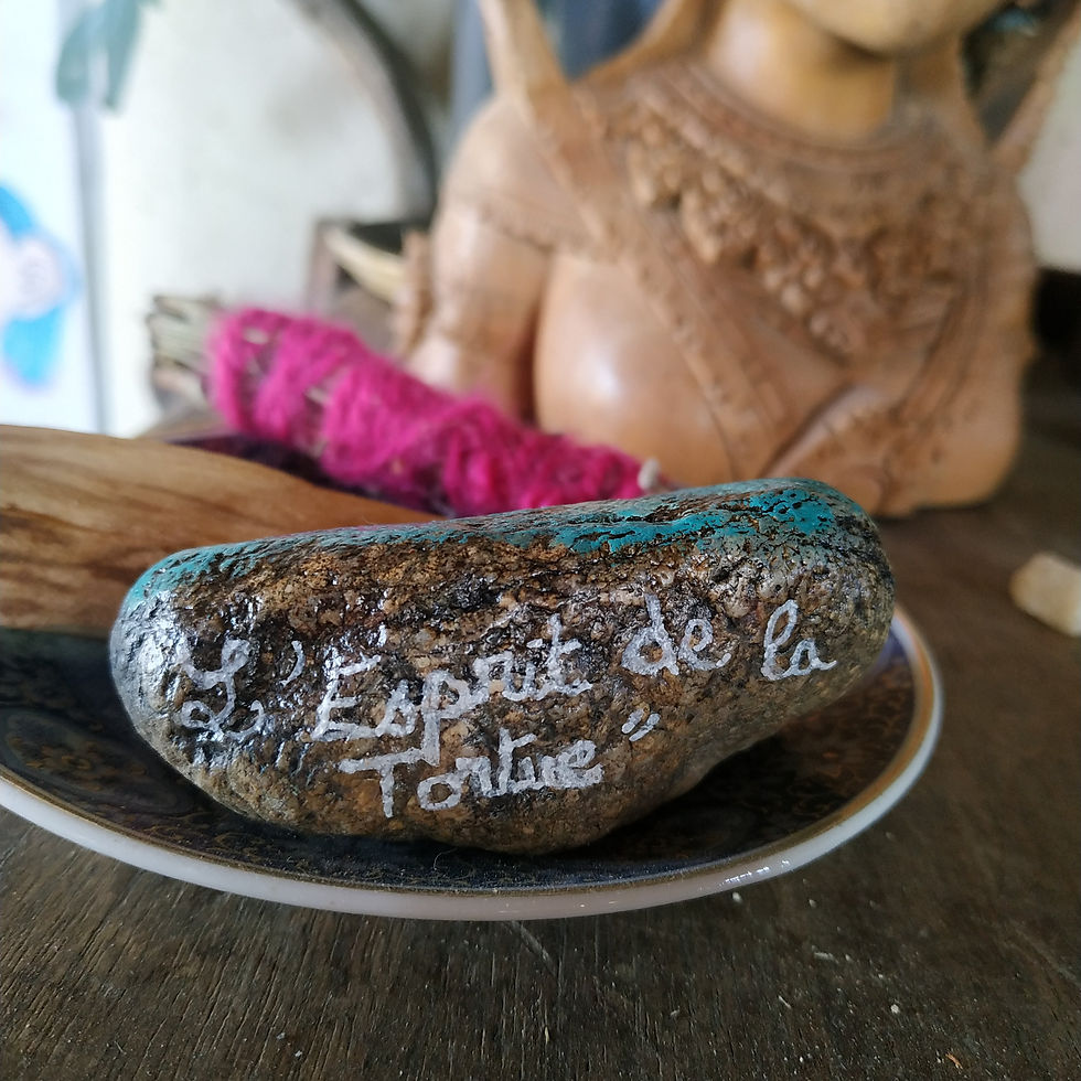Miniature : Peinture d'une tortue de terre bleue violette, animal totem, sur falet par Oréalys Révayia