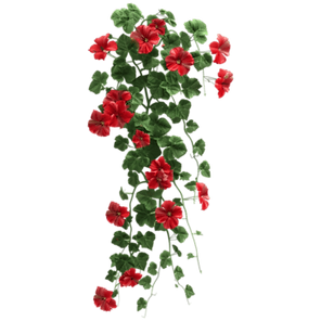 hibiscus-flowers-hanging-on-transparent-background-png.png