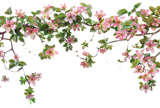37632cf809e4d01c419322f333b89db3_edited.png