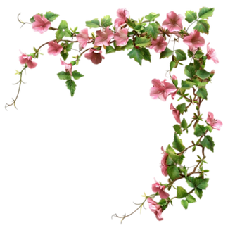 hibiscus-flowers-hanging-on-transparent-background-generative-ai-free-png.png