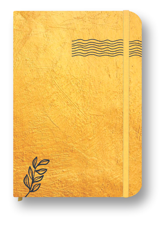 Miniatura: Caderneta estampada (2024)