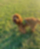 Screenshot_20220627-101554_2.jpg