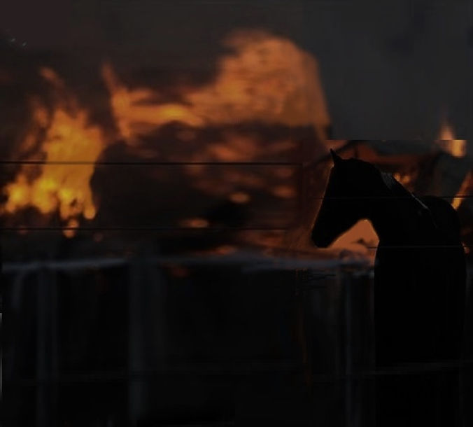 Horse Fire.jpg