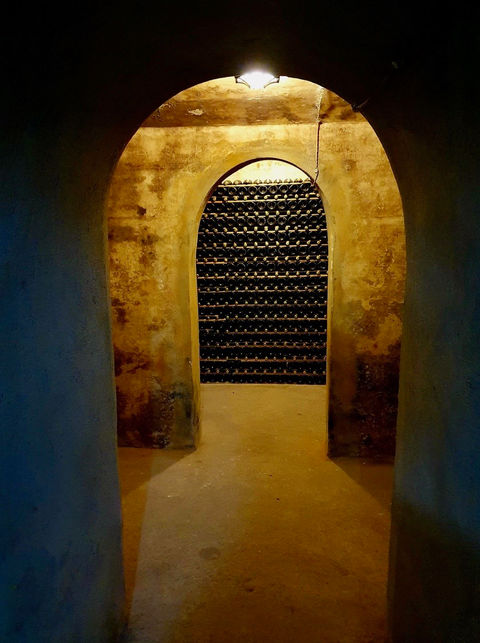 Memorias Cellar.jpg