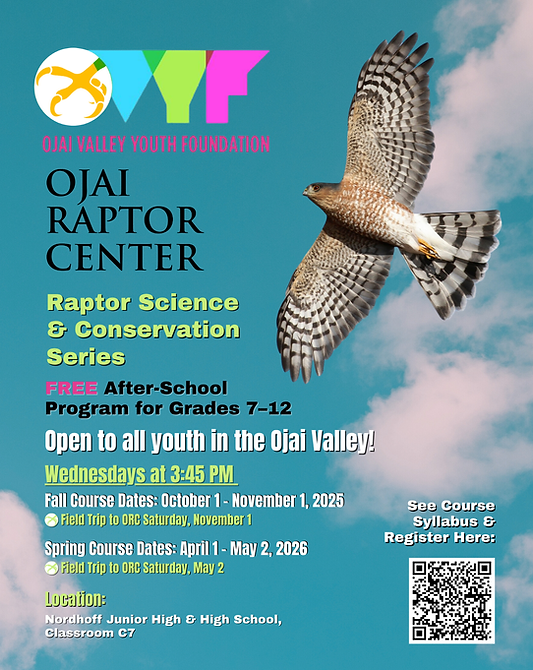 AT Revised Nordhoff Youth Program Flyer (Instagram Post (4_5)) - OVYF 2025-26.png