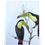 Thumbnail: Keel-billed toucan