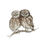 Thumbnail: Little owls