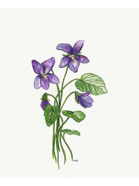violets